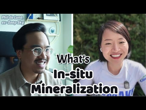 Turning CO₂ into Stone — In-Situ Mineralization w/ Dr Phil De Luna
