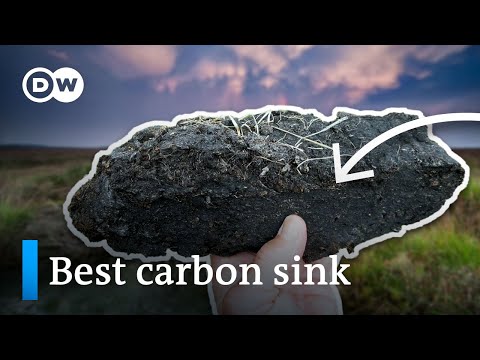 This piece of dirt can suck up LOADS of carbon
